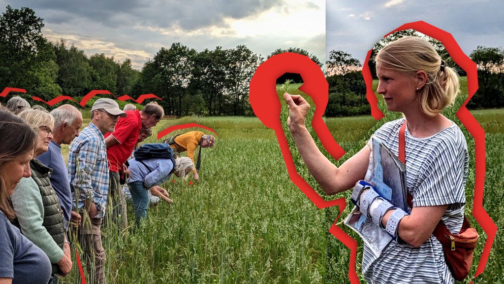 Wie sieht der Acker der Zukunft&nbsp;aus?