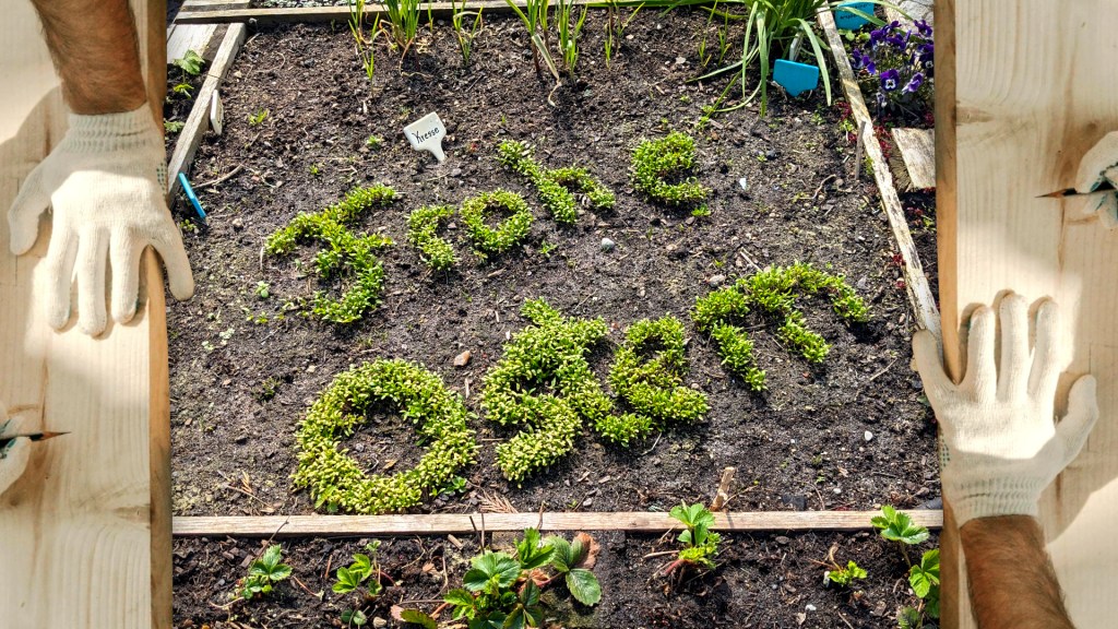 Saisonstart Essbare Stadt